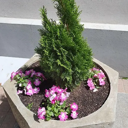 Resavska Belgrade