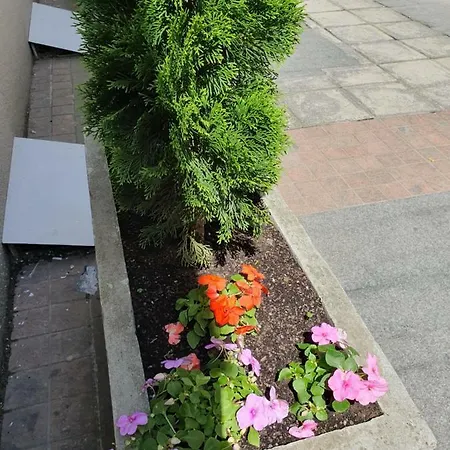 Apartment Resavska Belgrade